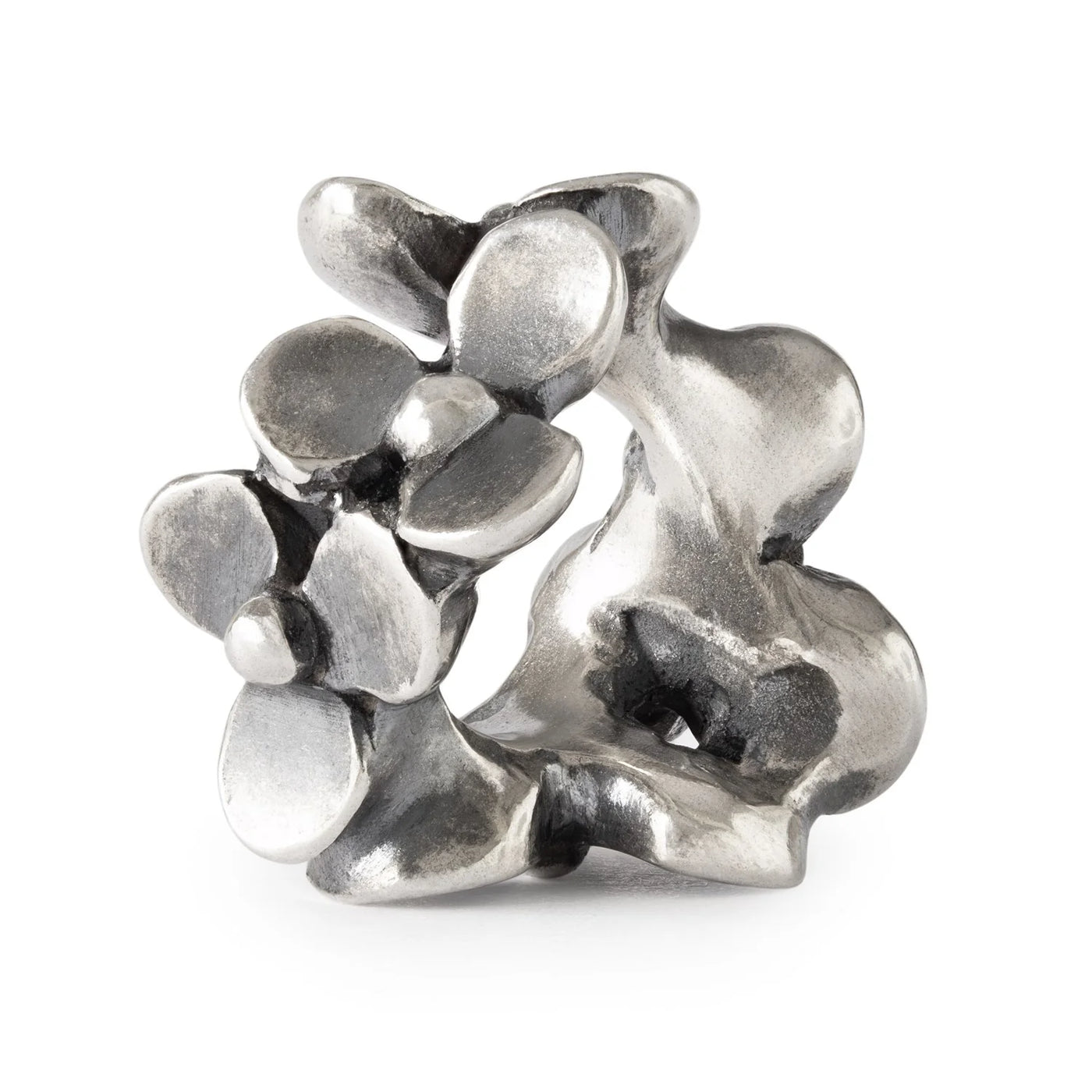 Jardin de la maison – Bracelet en cuir starter