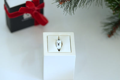 Bianco der Polarbär mit Magnet