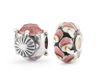 Duo - Pilze der Lebenskraft + Geschenk des Herzens