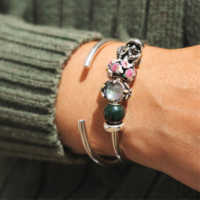 Edelweiss de la montagne